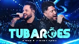 Miniatura do vídeo Tubarões - Ao Vivo