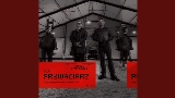 Miniatura do vídeo Prywaciarz