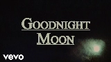 Miniatura do vídeo Goodnight Moon
