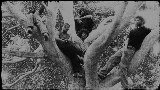 Miniatura do vídeo Coco Gauff