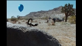 Miniatura do vídeo What You Want (feat. Teezo Touchdown)