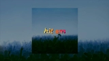 Miniatura do vídeo Hit Em
