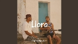 Miniatura do vídeo Lloro