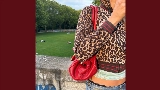 Miniatura do vídeo Leopard
