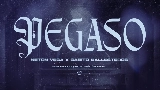 Miniatura do vídeo Pegaso