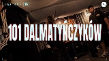 Miniatura do vídeo 101 DALMATYŃCZYKÓW