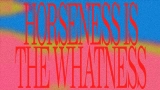 Miniatura do vídeo Horseness Is The Whatness