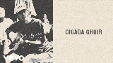 Miniatura do vídeo Cicada Choir