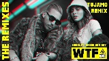 Miniatura do vídeo WTF