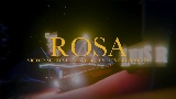 Miniatura do vídeo Rosa