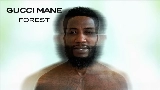 Miniatura do vídeo Forest