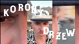 Miniatura do vídeo Korony drzew