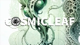 Miniatura do vídeo World of fungi