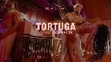 Miniatura do vídeo Tortuga
