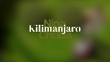 Miniatura do vídeo Kilimanjaro