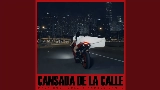 Miniatura do vídeo Cansada De La Calle