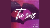 Miniatura do vídeo Tu sais