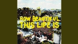Miniatura do vídeo How Beautiful This Life Is